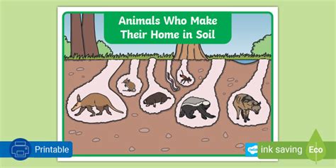 Animals Who Make Their Homes In Soil Poster Teacher Made