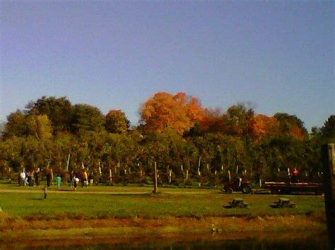 We do not allow animals to be brought on the orchard property, so please remember to leave furry friends at home. Honey Pot Hill Orchards | New england, Apple cider donuts ...