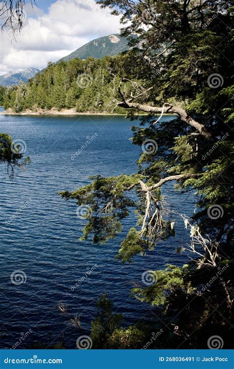 Forest View Of A Patagonian Lake Stock Image Image Of Trekking Wind