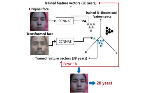 Age Estimation Using Ccnnae Based On The Transformed Image Obtained
