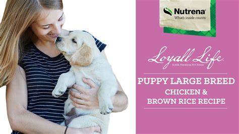 Nutrena loyall life grain free beef with sweet potato recipe 30lb $38.75. Nutrena Loyall Life Puppy Large Breed Chicken & Brown Rice Recipe Dry Dog Food - YouTube