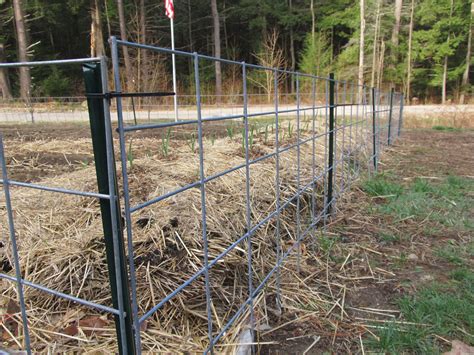 Hog Panel Fencing Home Decor Easy Fence Backyard Fences Cattle Panels