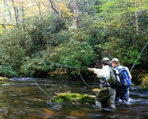 Beginner Fly Fishing Checklist Start Out Right Guide Recommended Artofit