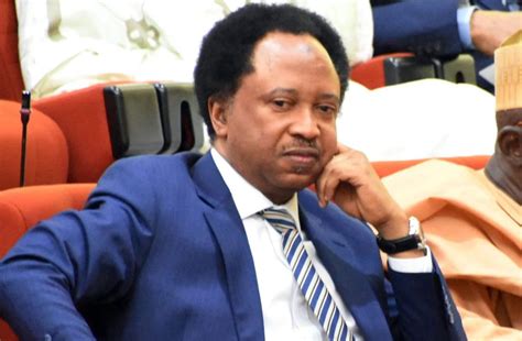 P And Id Its Big Relief On Nigeria Shehu Sani Speaks As Uk Court