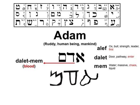 Adam And Eve Step 2 Examine Hebrew Language Words Learn Hebrew