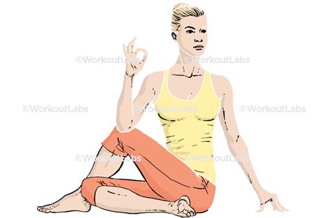 Half Spinal Twist Ardha Matsyendrasana Yoga Poses Guide By Workoutlabs