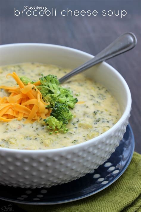 10 Best Velveeta Broccoli Cheese Soup Recipes