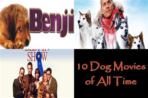 10 Best Dog Movies Of All Time