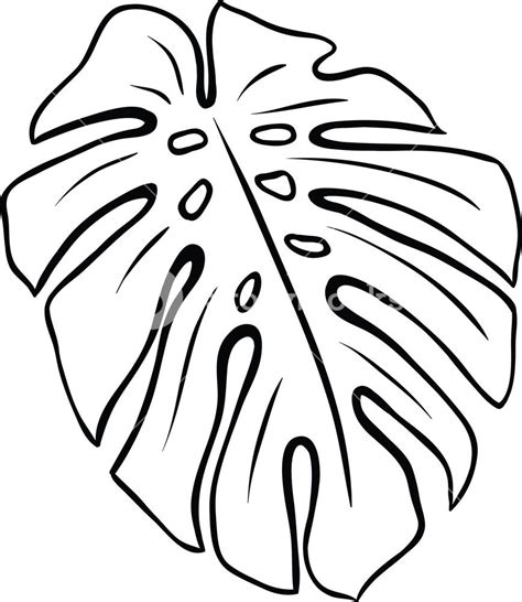 Black & white tropical palm leaf wall art printables. Vector Tropical Leaf | Folhas tropicais, Arte com recortes ...