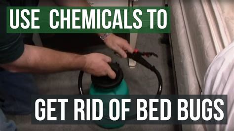 How To Get Rid Of Bed Bugs With Professional Chemicals Youtube