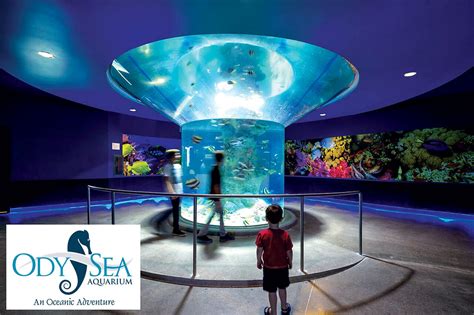 Visit The Odysea Aquarium In The Scottsdale Arizona Desert
