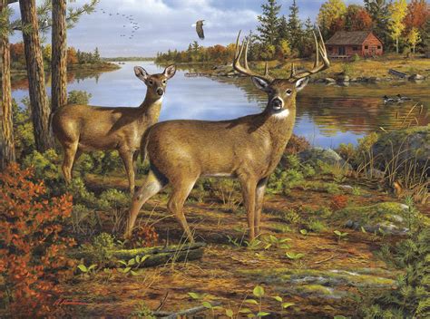 Puzzles 14828 Ravensburger Deer In The Wild Jigsaw Puzzle 500 Pieces