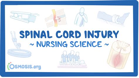 Spinal Cord Injury Sci Nursing Osmosis Video Library