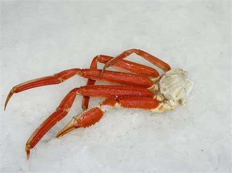 Medium Snow Crab Legs Premium Clusters Crab Dynasty