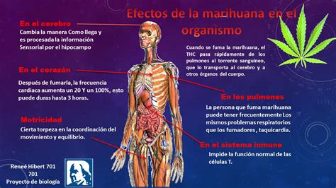 bioquimbf efectos de la marihuana reneé hibert 701