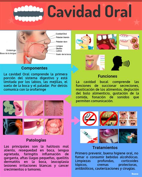 Fase 2 Infografía sobre los principales componentes de la cavidad oral