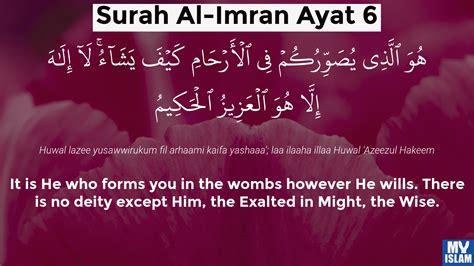 Surah Al Imran Ayat 6 36 Quran With Tafsir My Islam