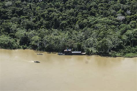 Con Bolsonaro Aumenta Presencia De Armas De Fuego En La Amazonía