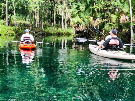 Silver Springs State Park A Great Place For A Kayaking Tour In Florida