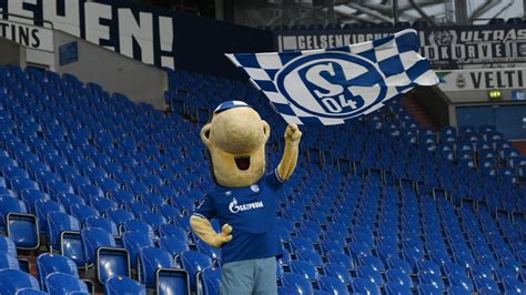 Schalke will Wende allgemein und gegen Köln Bundesliga Bildergalerie kicker