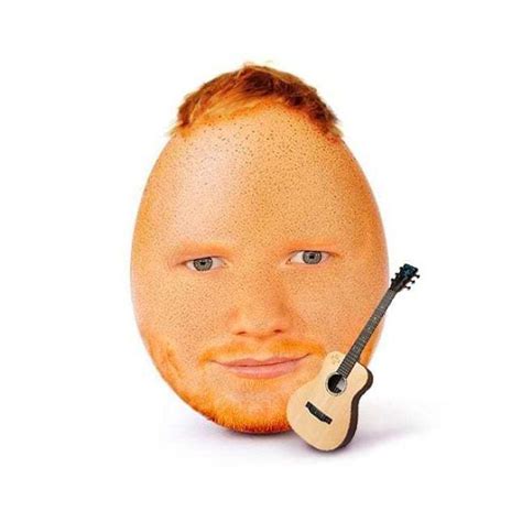 Egg Sheeran Rfunny