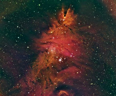 Cone Nebula Hso Lindas Astronomy Adventures