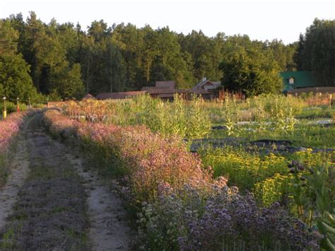 Malowniczo położony region z ciekawymi rzekami i jeziorami jest najmniej zurbanizowaną częścią polski; Zdjęcia: Koryciny, Podlasie, ZIELNIK, POLSKA