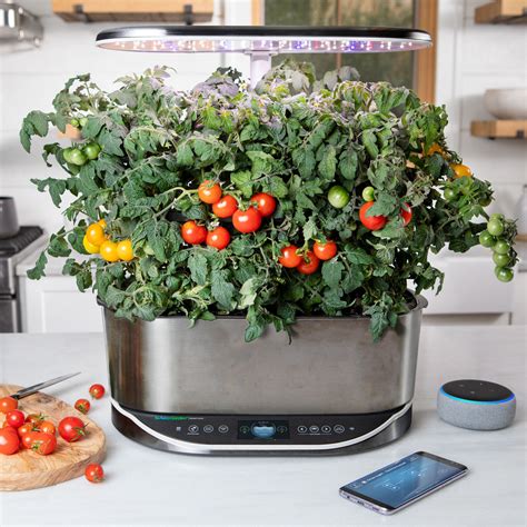 Easy Indoor Gardening Device Design Flower Garden