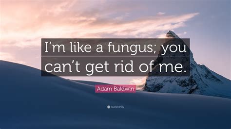 Adam Baldwin Quote Im Like A Fungus You Cant Get Rid