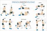 Strength Exercises For Seniors Pictures