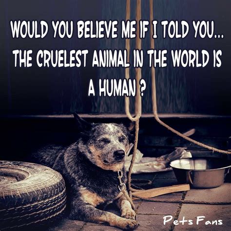 Sayings About Life Cruelty Word Of Wisdom Mania