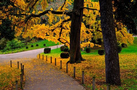 A Walk Through The Autumn Park At Sunset Desktop Wallpapers