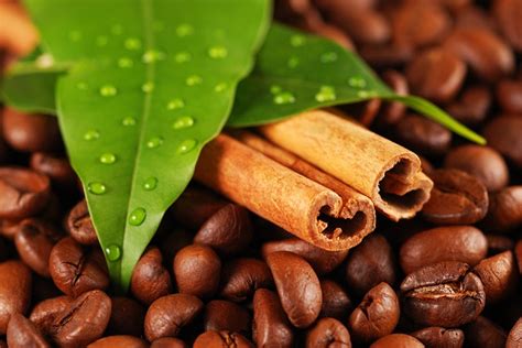 The andes mountains form a spine down the western side of the continent. Top 5 Best Espresso Coffee Beans 2018 | The Ultimate Guide