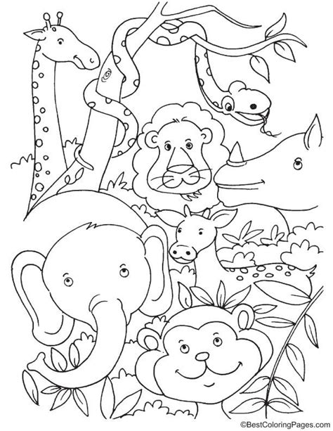 Tropical Rainforest Animals Coloring Page Animal Coloring Books
