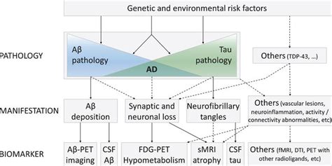 Multimodal Neuroimaging In Alzheimers Disease Early Diagnosis