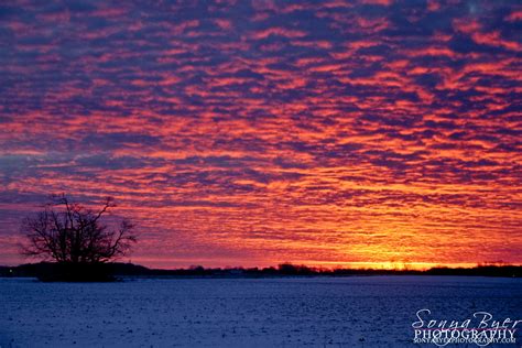 Winter Country Sunrise | Sunrise, Sunrise sunset, Sunset rose