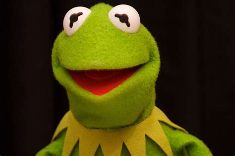 Kermit The Frog Funny Quotes Quotesgram