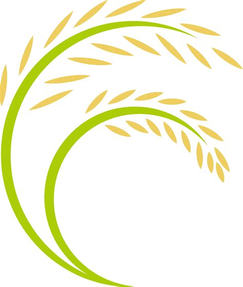 Harvest Vector Paddy Paddy Logo 1248x1472 Png Clipart Download