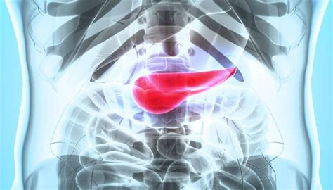 Diabetes And The Pancreas Insulin Complications And Function