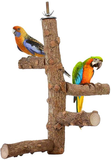 Dedc Natural Wood Bird Perch Set Parrot Stand Wood Perches Paw