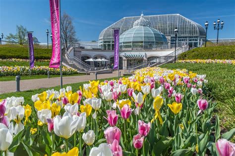 The Best Phipps Conservatory And Botanical Gardens Tours And Tickets 2021