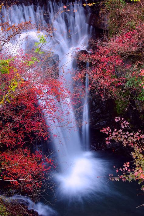 Waterfall In Japanese Autumn Autumn Waterfalls Beautiful Nature