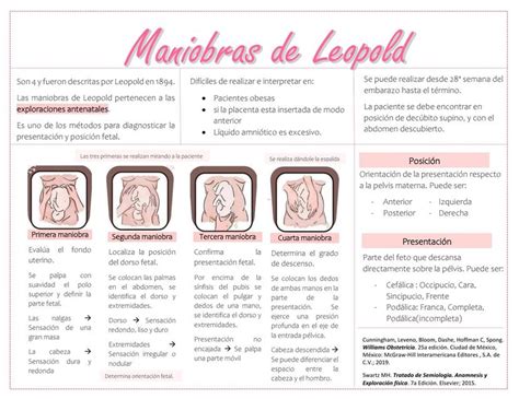 Maniobras De Leopold Obstetricia Ug Apuntes Maniobras De Leopold Hot