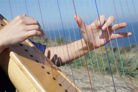 Playing The Harp Now An Easy And Affordable Dream Harp School