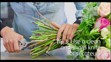 This article will tell you care and maintenance tips for cut flowers and more. How to take care of your flowers at home - YouTube