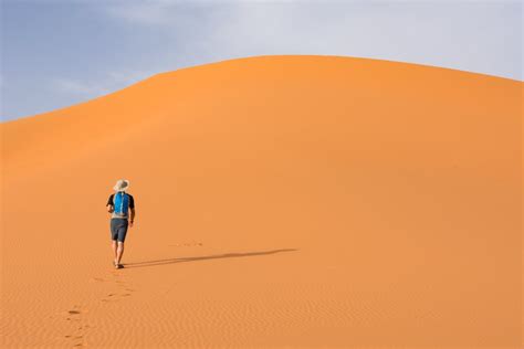 Walking In The Sahara Desert Smithsonian Photo Contest Smithsonian