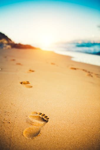 Footprint, footprint in the sand, wet sand, grains of sand, barefoot, beach, summer, the rate of, shape, shape of the foot, sunset. Sunset At The Beach With Footprints In The Sand Stock ...