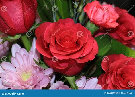 Beautiful And Fresh Bunch Of Red Rose Flower For Decoration Decorative