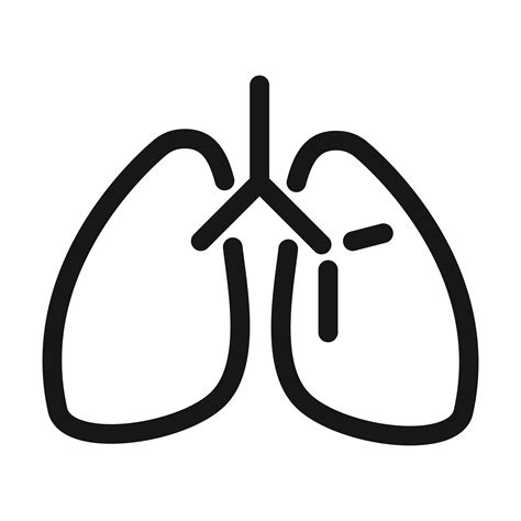 Lungs Organ Breathing System Medical And Health Care Line Style Icon