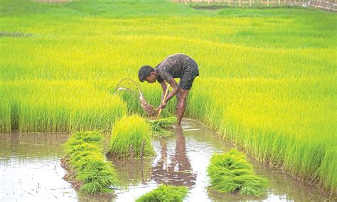 Exchange rates are subject to continuous change. India's WPI inflation falls 3.21% in May, but food prices ...